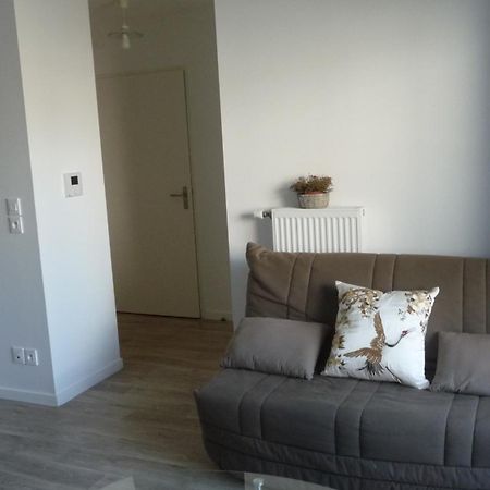 Pour Visiter Ou Travailler Dans Le Loiret Apartment Saint-Jean-de-Braye Ngoại thất bức ảnh