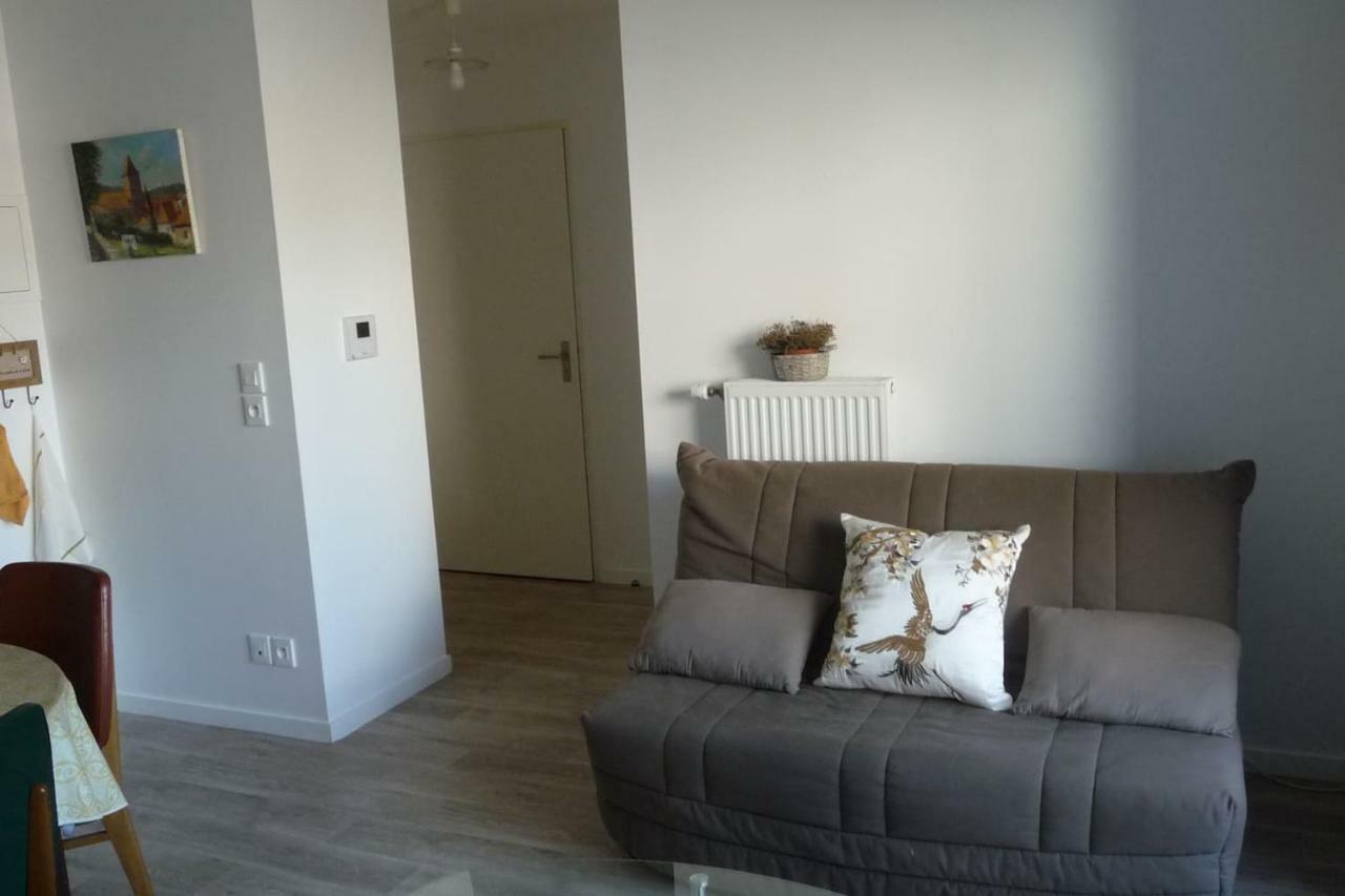 Pour Visiter Ou Travailler Dans Le Loiret Apartment Saint-Jean-de-Braye Ngoại thất bức ảnh