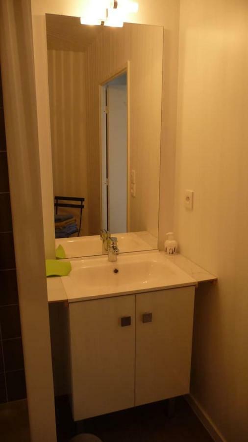 Pour Visiter Ou Travailler Dans Le Loiret Apartment Saint-Jean-de-Braye Ngoại thất bức ảnh